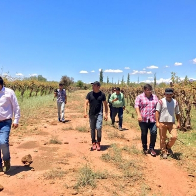 El gobierno provincial se puso a disposición de los productores afectados por el granizo