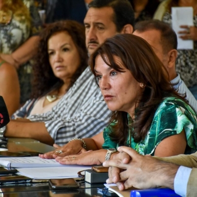 Inés Brizuela y Doria: “No hay lugar para los violentos en las instituciones republicanas”