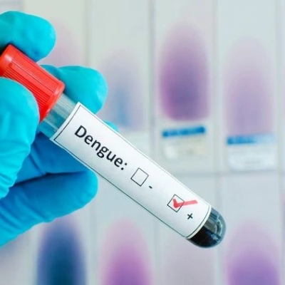 Dengue imparable: hubo más de 12.000 casos en Argentina en el último mes