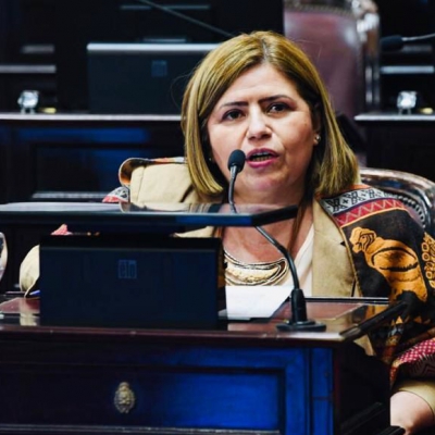 Vega llamó a unificar protocolos para la circulación en el territorio nacional