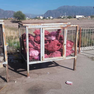 Municipio multó a Secretaría de Transporte por arrojar residuos patógenos en alrededores de la Terminal