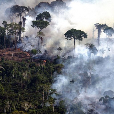 Brasil registró en octubre una deforestación récord de la selva amazónica