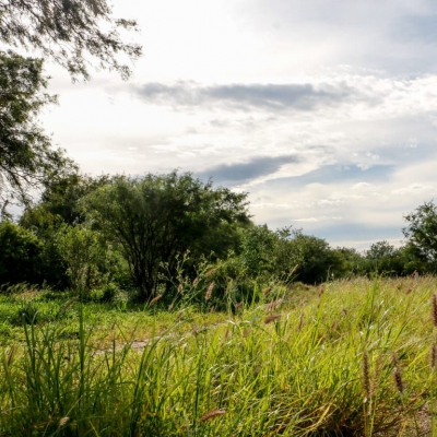 Avanza la construcción de la primera reserva natural urbana de la provincia