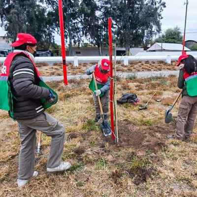 Avanza el relevamiento del Plan Provincial Forestar