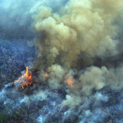 Un récord en 12 años: la Amazonia brasileña registró 33.316 focos de incendio en agosto