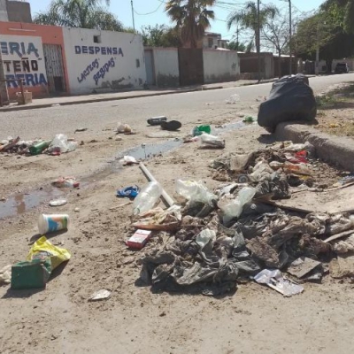 Proliferan microbasurales en las calles capitalinas