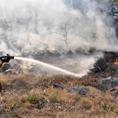 Jujuy, Salta, Catamarca, Córdoba y Entre Ríos registran incendios forestales activos
