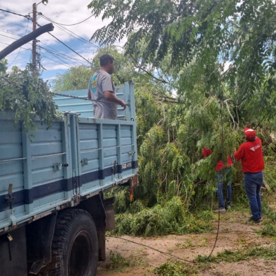 Cuadrillas del COE realizan tareas de poda, limpieza y despeje de calles