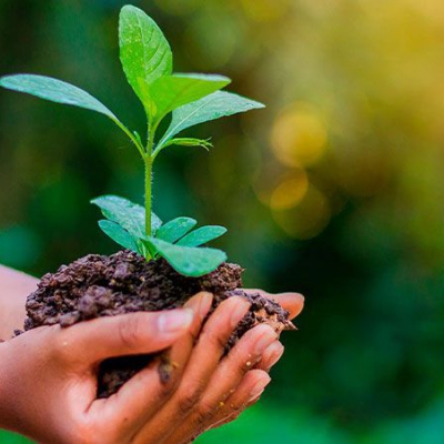 Se realizan Jornadas por la Tierra: Reconectar con la naturaleza