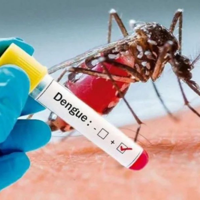 La Rioja confirmó 7 nuevos casos de dengue