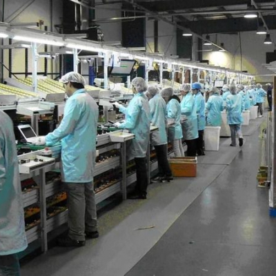 La industria repuntó en noviembre pero acumuló un derrumbe del 10,7%