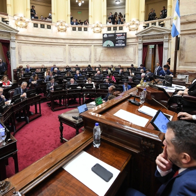 El Senado aprobó la baja de imputabilidad de 16 a 14 años