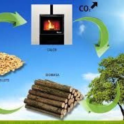 Activan acciones para desarrollar energía a partir de la biomasa