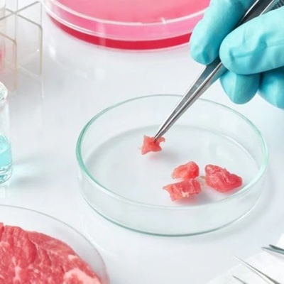En un laboratorio y sin sufrimiento animal: la Argentina ya produce su propia carne cultivada