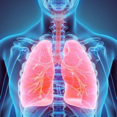 Científicos logran revivir seis pulmones de donantes humanos lesionados