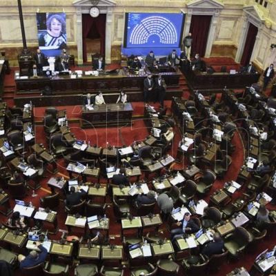 Abren el debate sobre el proyecto para establecer un aporte solidario por única vez