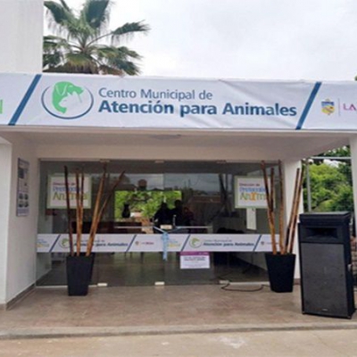 El Centro de Salud Animal continúa con la atención clínica a perros y gatos