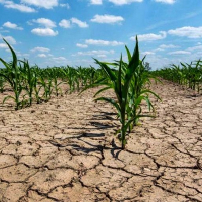 Cuáles son las zonas del mundo que serán inhabitables por las olas de calor