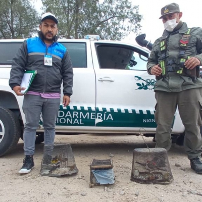 Flora y Fauna municipal asistieron a control de tráfico ilegal de fauna