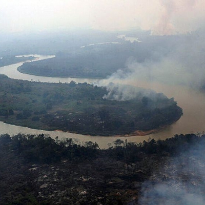 Las lluvias apagan los incendios en el Pantanal, el mayor humedal del planeta