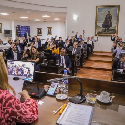 La Legislatura repudió el DNU y dijo que "es avasallamiento contra los derechos del pueblo"