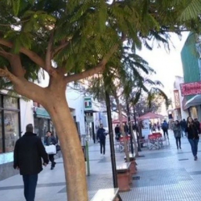 Sindicato de Comercio: fuerte pronunciamiento contra el pedido del centro comercial