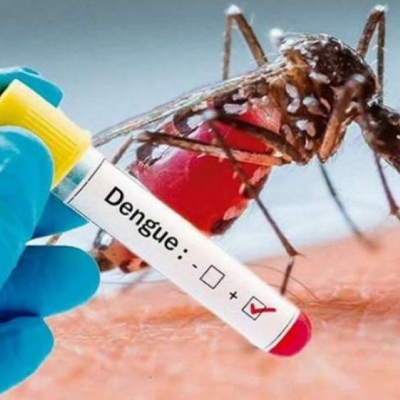 Dengue: Se reportaron 345 nuevos casos y una muerte en la última semana