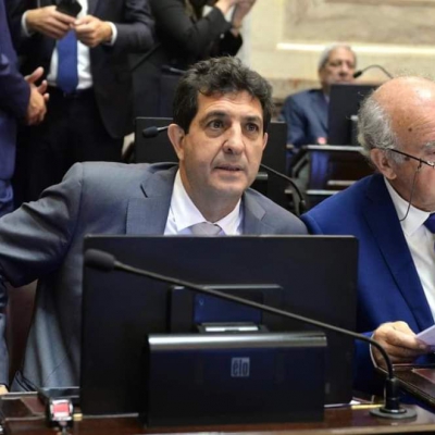 Fernando Rejal sobre la expulsión de Kueider: “La sesión es válida y se llevó a cabo en los carriles de la legalidad”