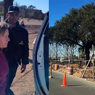 Detuvieron a una periodista por defender un árbol tricentenario