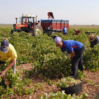 Nuevo incremento salarial para trabajadores rurales