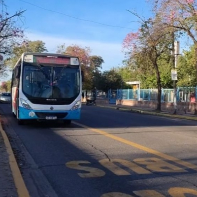 Comerciantes denuncian hasta 60% de disminución de ventas por carriles exclusivos